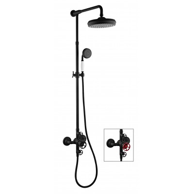 Colonne de douche avec robinetterie INDUSTRIEL THERMOSTATIQUE 